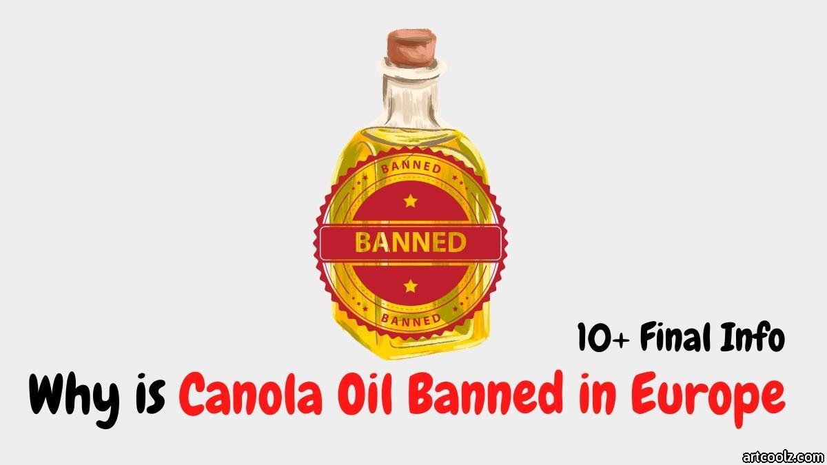 Why is Canola Oil Banned in Europe?✔️10+ Info - ArtCoolz